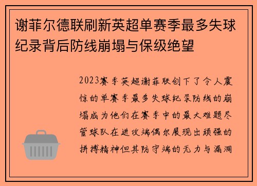 谢菲尔德联刷新英超单赛季最多失球纪录背后防线崩塌与保级绝望 谢菲尔德联刷新英超单赛季最多失球纪录背后防线崩塌与保级绝望