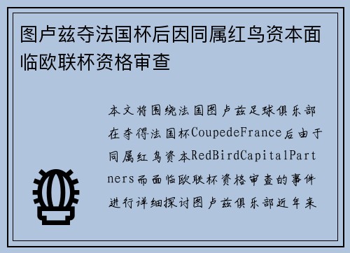 图卢兹夺法国杯后因同属红鸟资本面临欧联杯资格审查 图卢兹夺法国杯后因同属红鸟资本面临欧联杯资格审查